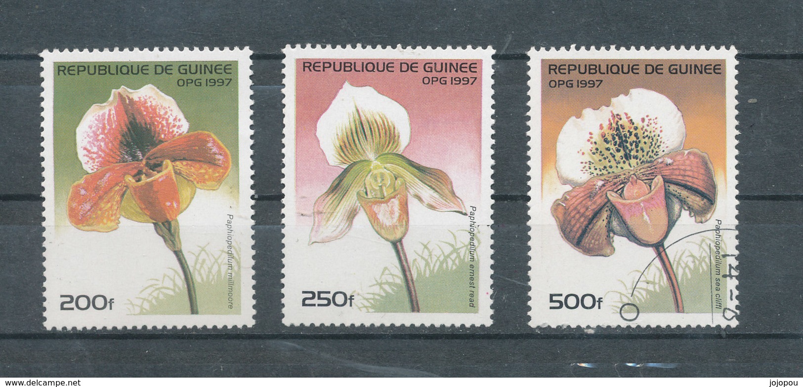 Orchidées - Guinée (1958-...)