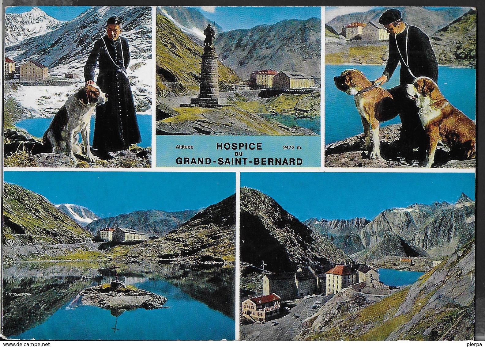 SVIZZERA - OSPIZIO DEL GRAN SAN BERNARDO  - VIAGGIATA 1966 - Alpinisme