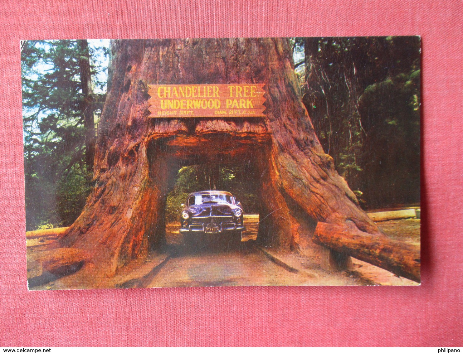 Classic   Auto Chandelier Tree  California   -ref 3160 - Passenger Cars