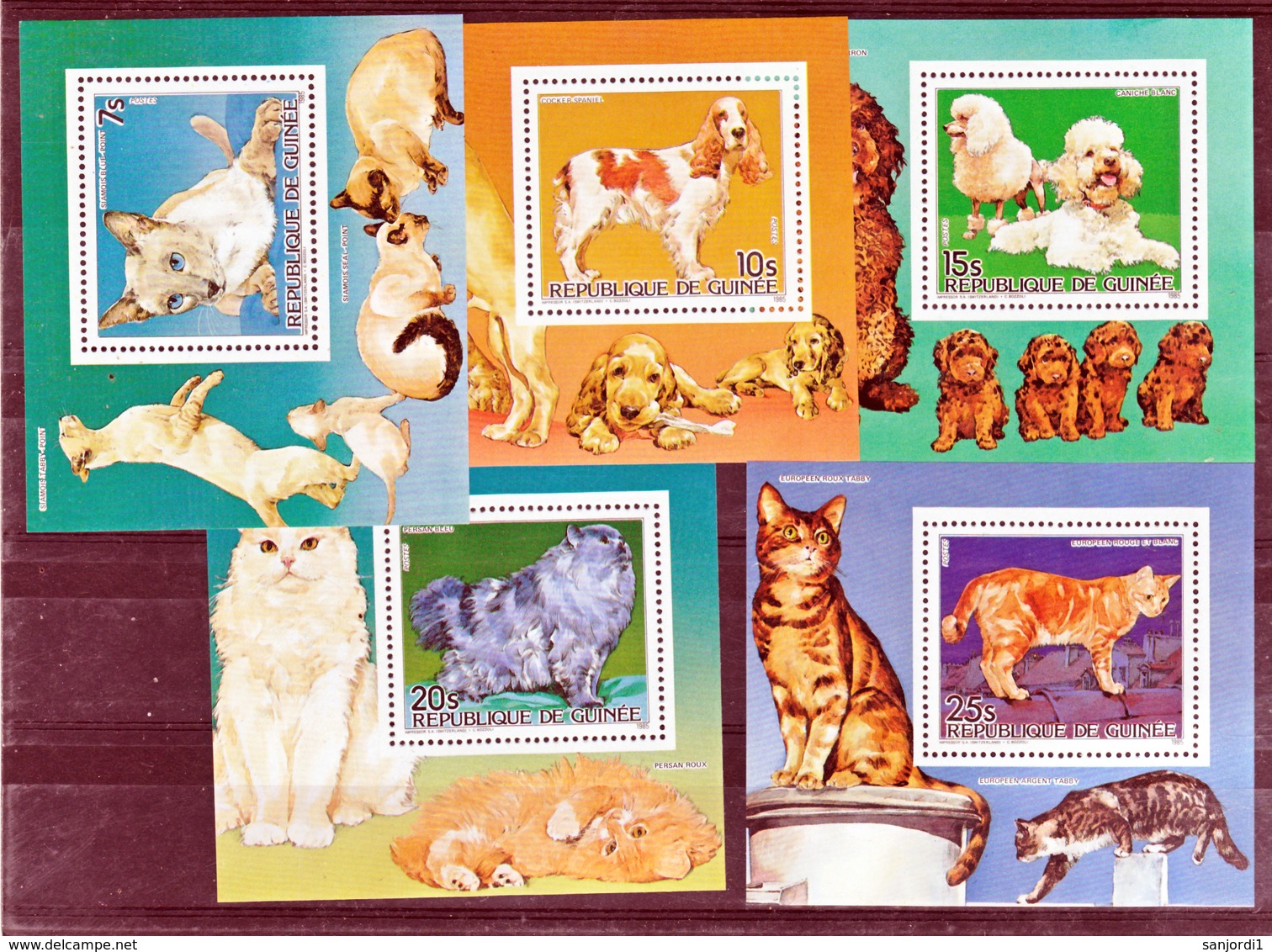 Guinée 776 780 Chiens Et Chats Feuillets Neuf ** TB MNH SIN CHARNELA - Guinea (1958-...)