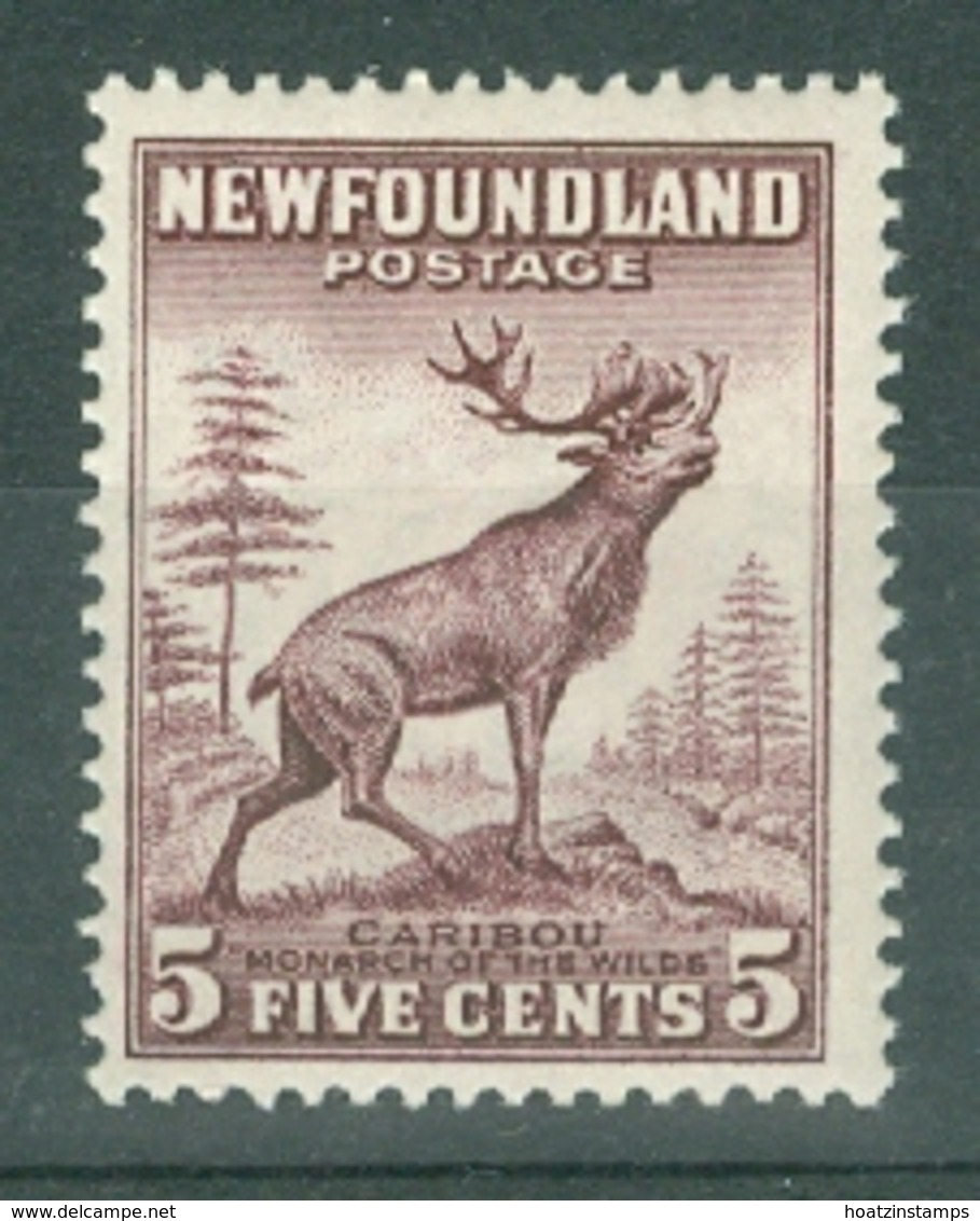 Newfoundland: 1932   Pictorial  SG213     5c  Maroon    MH - 1908-1947