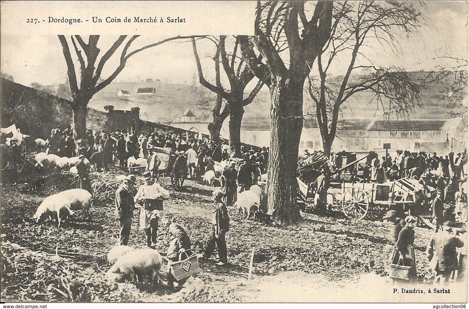 *UN COIN DE MARCHE A SARLAT - Sarlat La Caneda