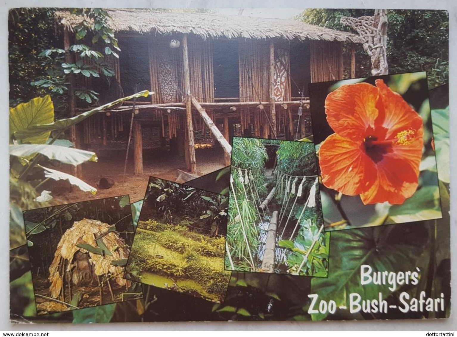 BURGERS' BUSH - ARNHEM - Zoo Safari  Vg - Arnhem