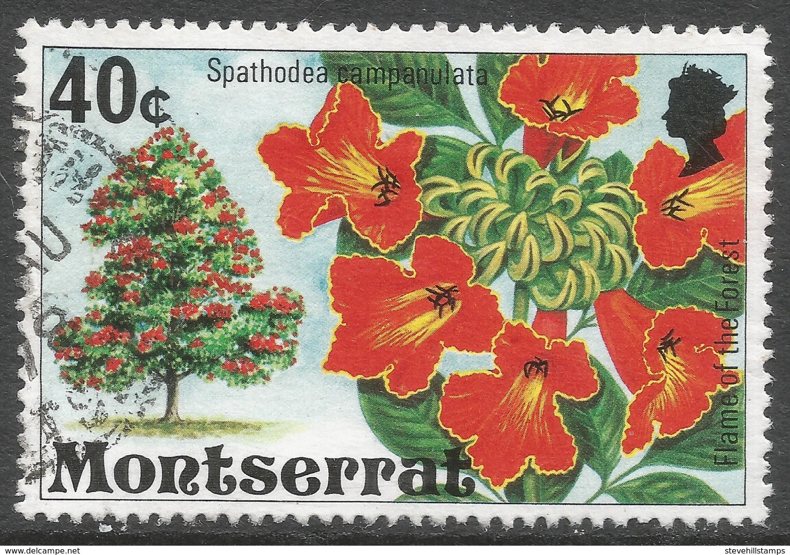 Montserrat. 1976 Flowering Trees. 40c Used. SG 379 - Montserrat