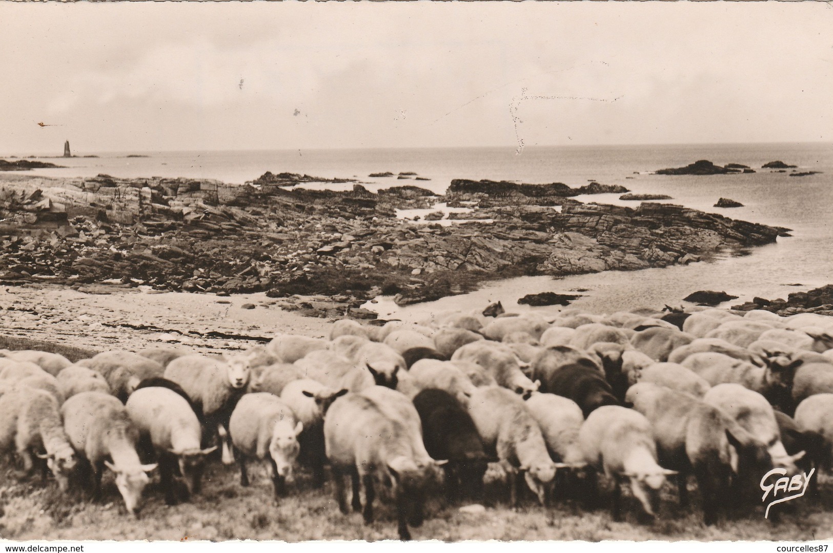 Ile D'Yeu - L'Anse Des Broches, Au Fonds Les Chiens Perrins - Ile D'Yeu