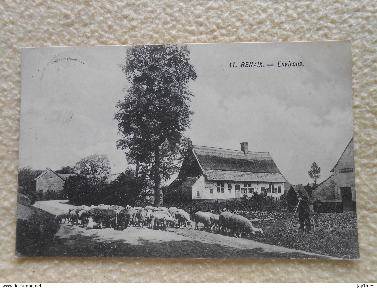 Cpa Renaix Ronse Environ Moutons Berger 1921 - Ronse