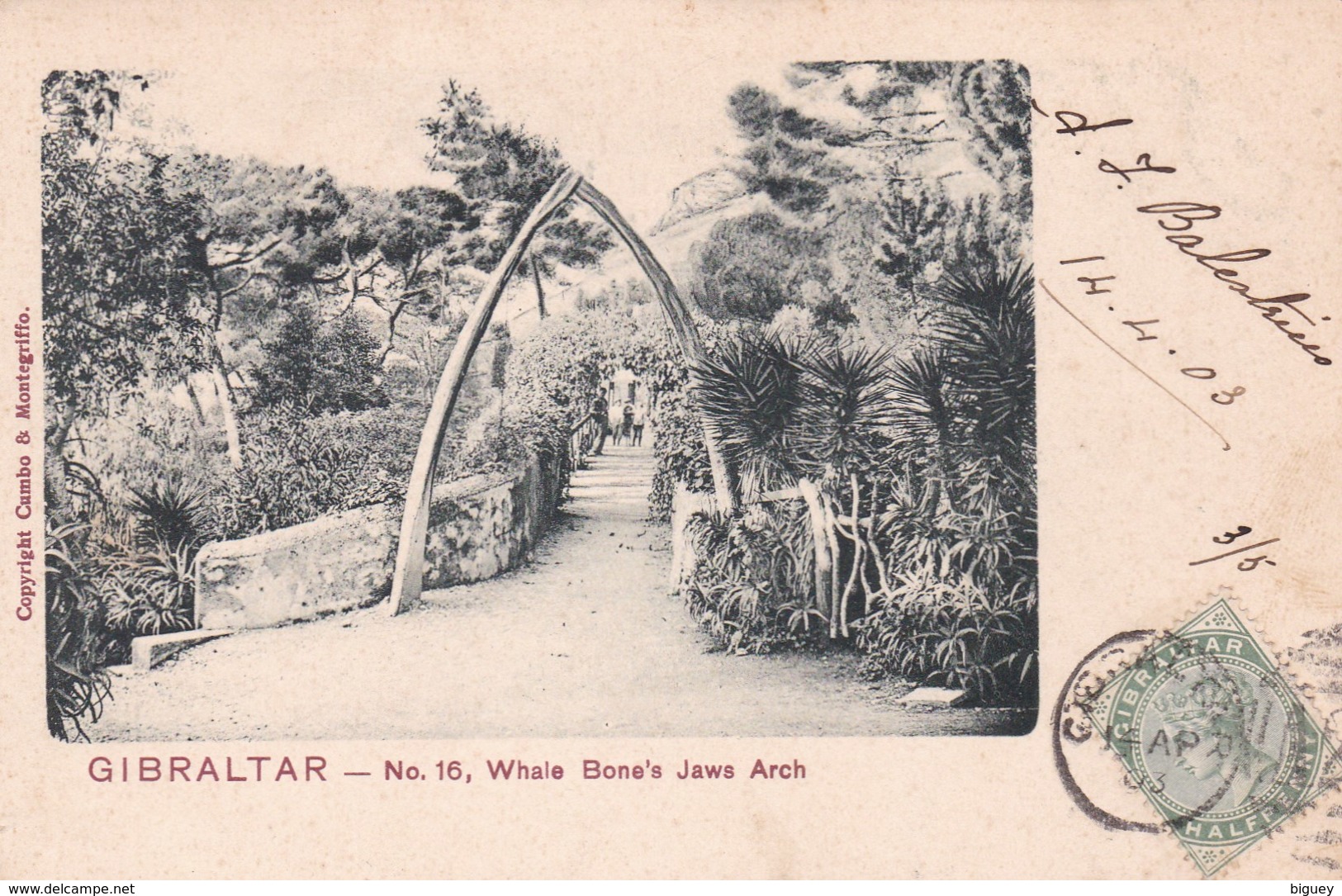 GIBRALTAR - Whale Bone's Jaws Arch. - Gibraltar