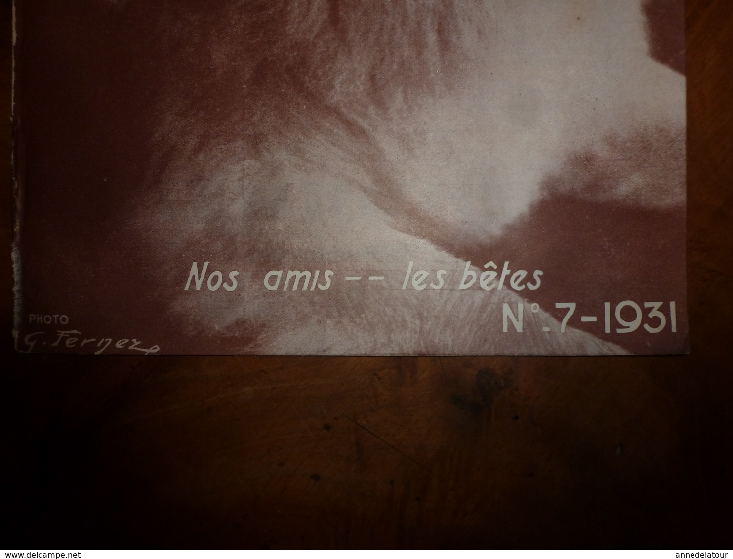 1931 VIE Et SANTÉ Par Dr Nussbaum ->Nos Amis Les Bêtes;Piqûres D'insectes;Les Enfants Du Mécano;Les Champignons;etc - Santé