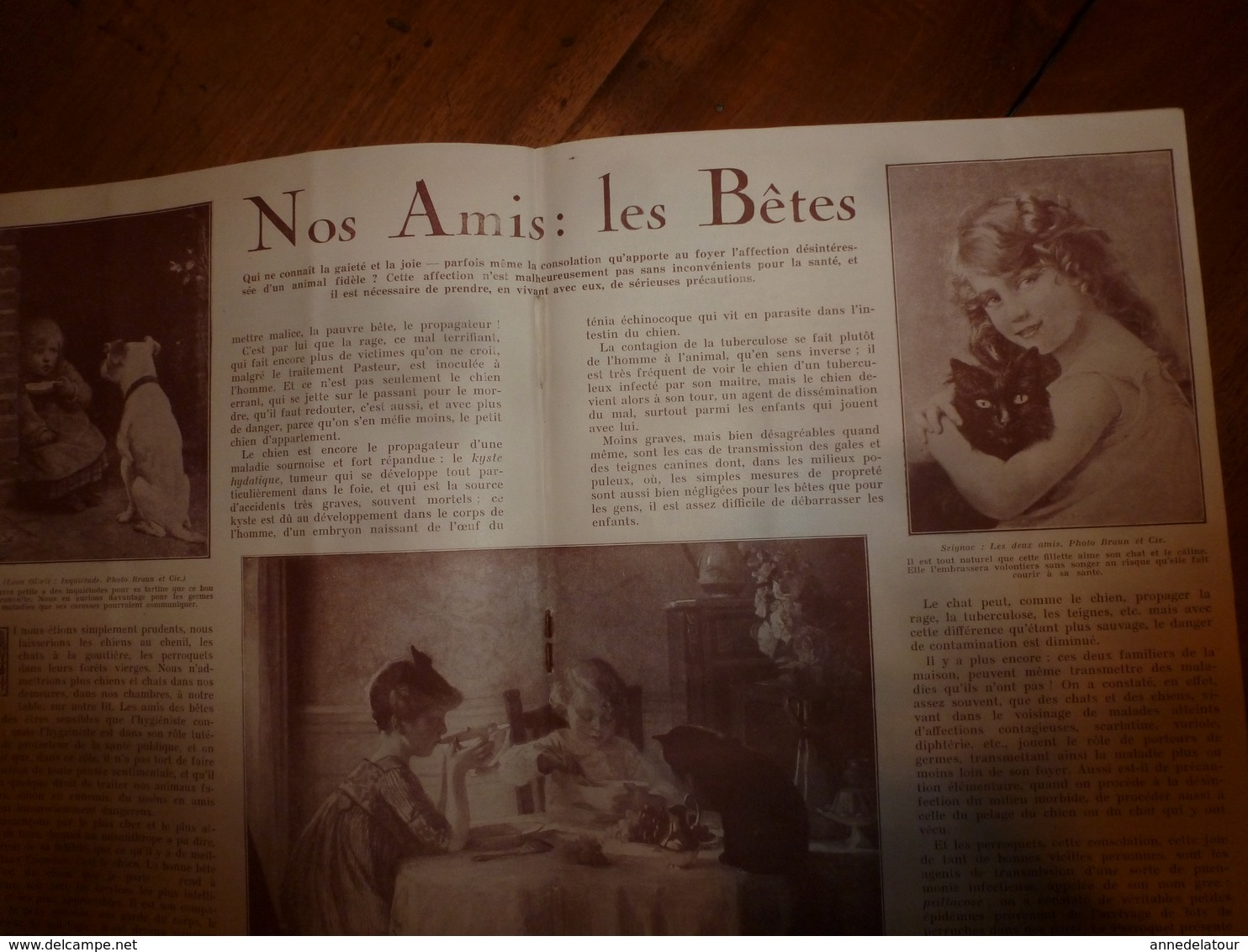 1931 VIE et SANTÉ par Dr Nussbaum ->Nos amis les bêtes;Piqûres d'insectes;Les enfants du mécano;Les champignons;etc