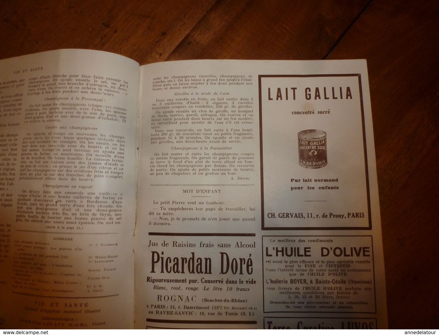 1931 VIE et SANTÉ par Dr Nussbaum ->Nos amis les bêtes;Piqûres d'insectes;Les enfants du mécano;Les champignons;etc