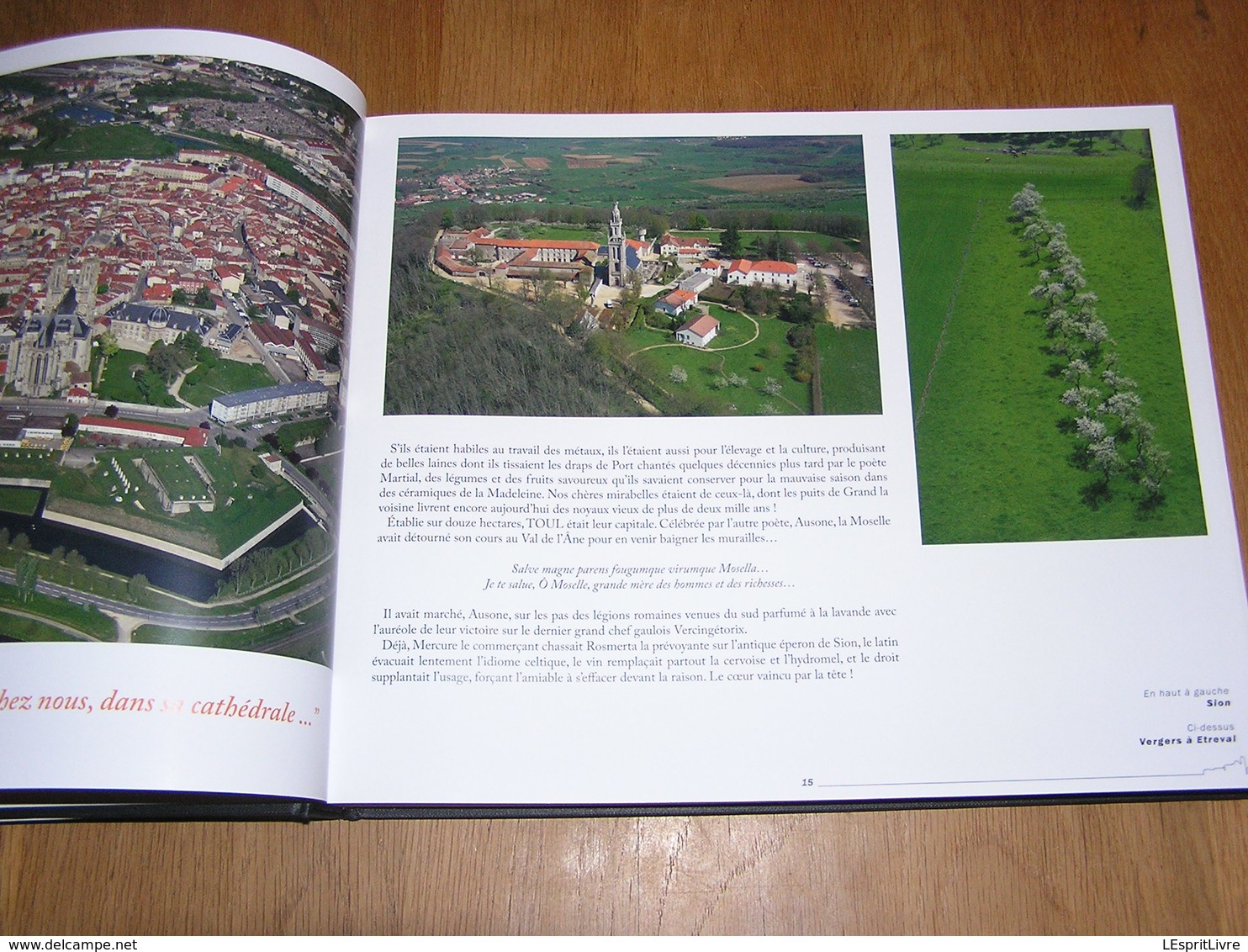 LA MEURTHE ET MOSELLE Vue du Ciel Régionalisme Lorraine Nancy Lunéville Thiaucourt Esch Longwy Pont à Mousson Baccarat