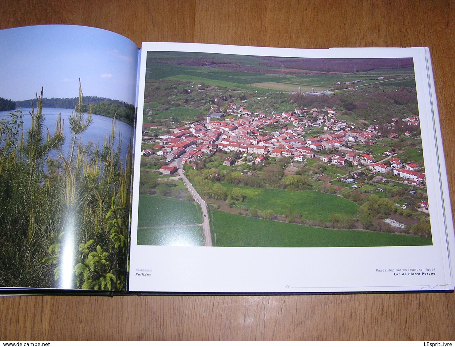 LA MEURTHE ET MOSELLE Vue du Ciel Régionalisme Lorraine Nancy Lunéville Thiaucourt Esch Longwy Pont à Mousson Baccarat