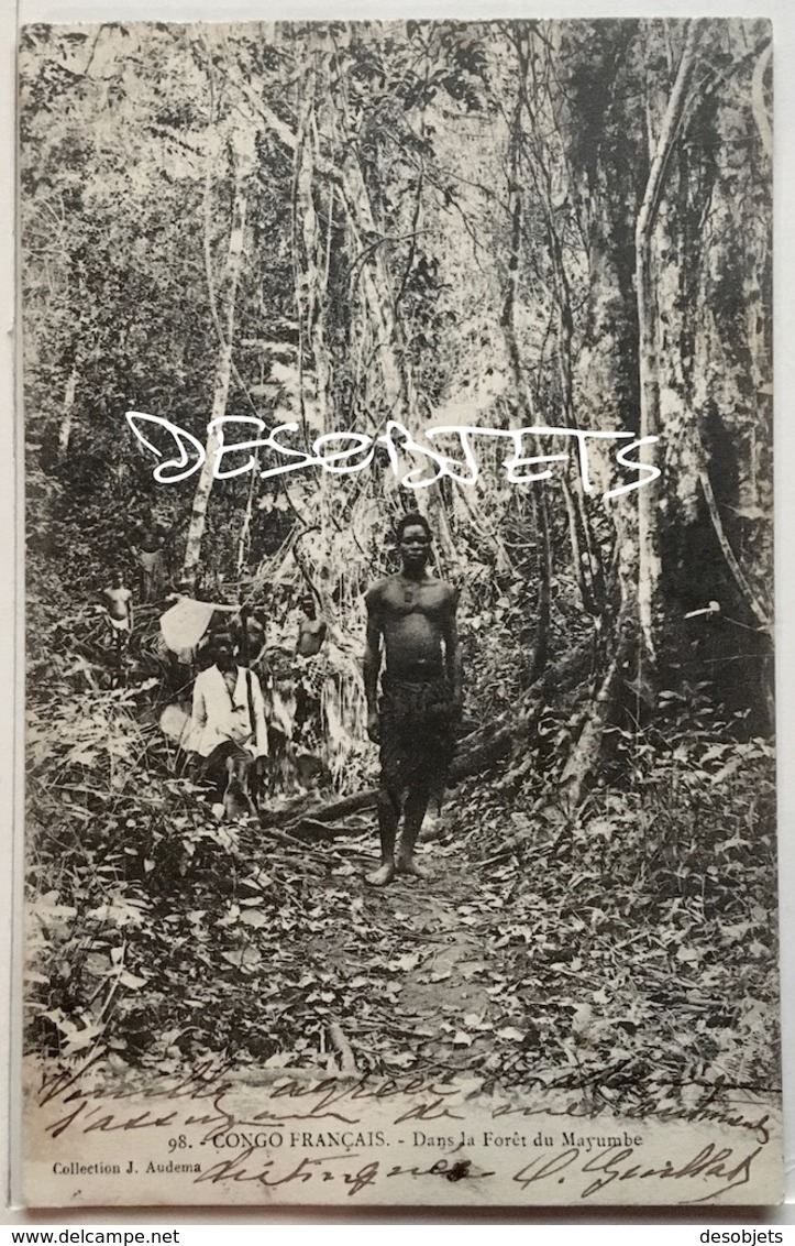 CONGO FRANÇAIS _Dans La Forêt Du Mayumbe. Collection J.Audema - Französisch-Kongo