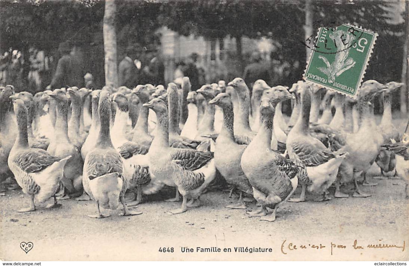 Villefranche De Rouergue      12       Une Famille En Villégiature. Marché .Oies               (Voir Scan) - Villefranche De Rouergue