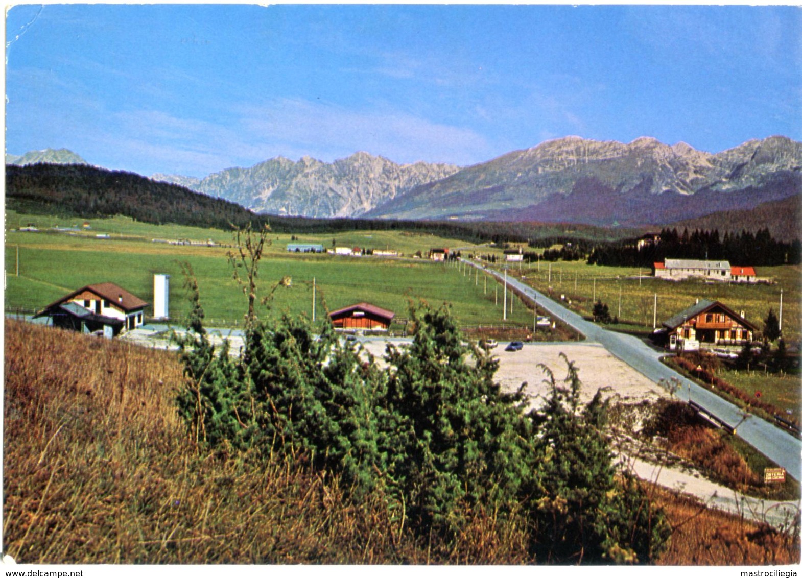 PIAN CANSIGLIO  BELLUNO TAMBRE D'ALPAGO  TREVISO FREGONA  Panorama Verso Le Prealpi - Belluno