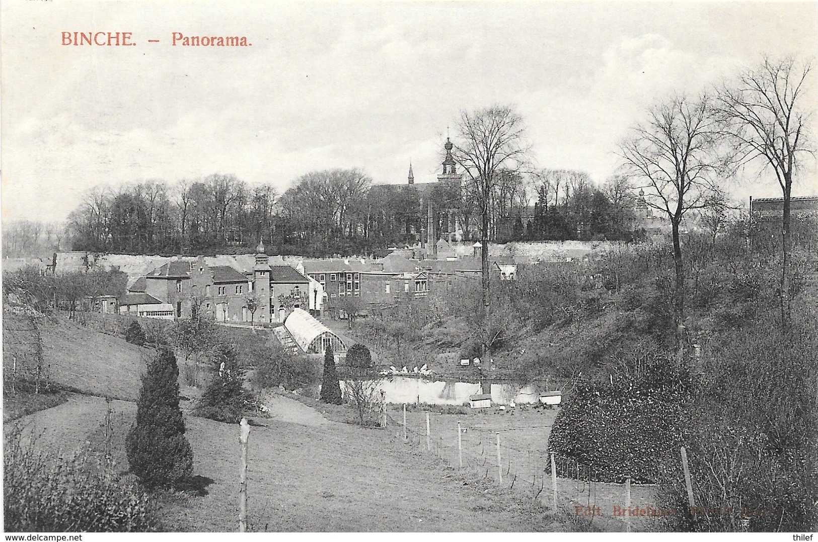 Binche NA27: Panorama - Binche