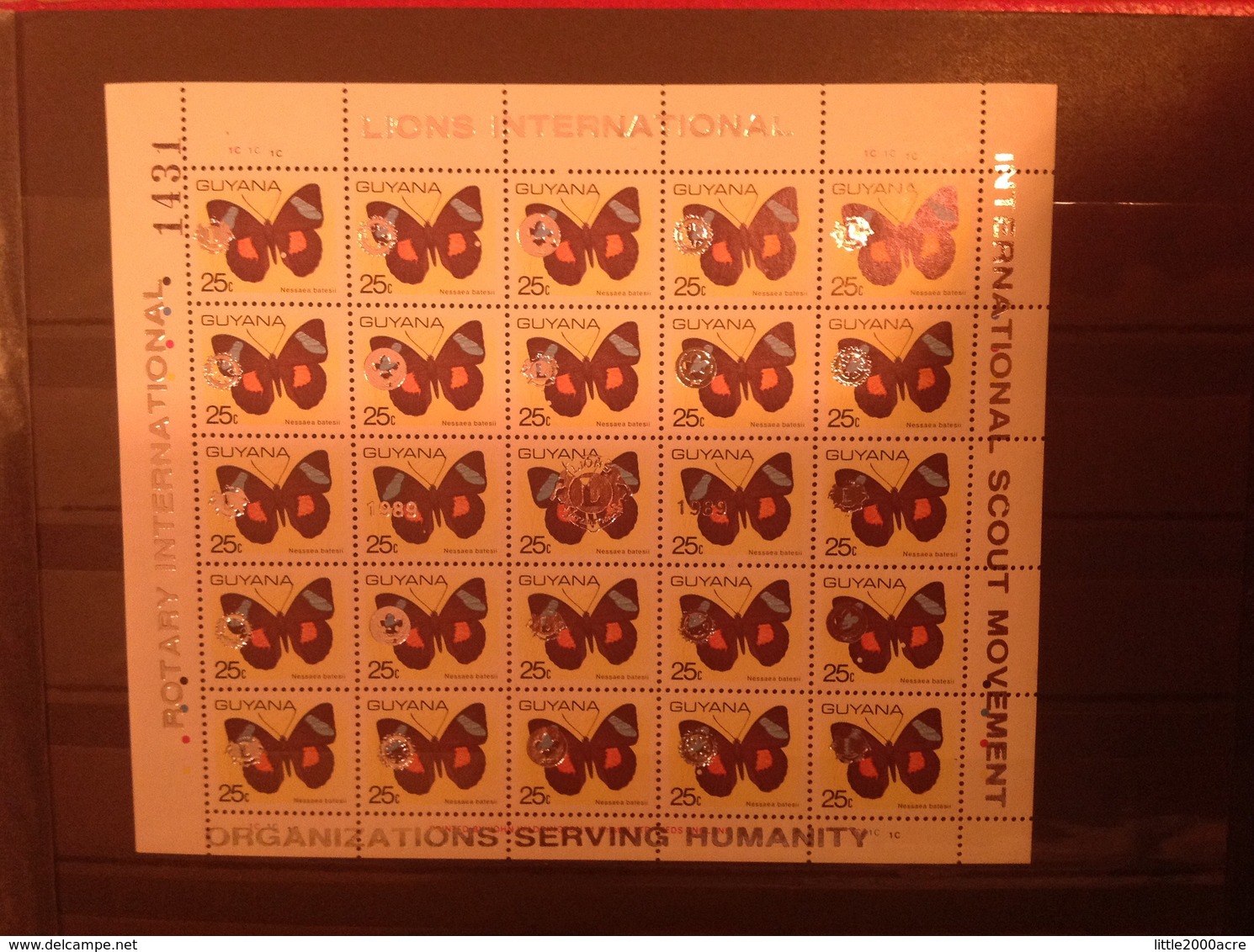 Guyana 1989 Scouts Lions + Rotary 25c Butterflies M/S MNH - Guyana (1966-...)