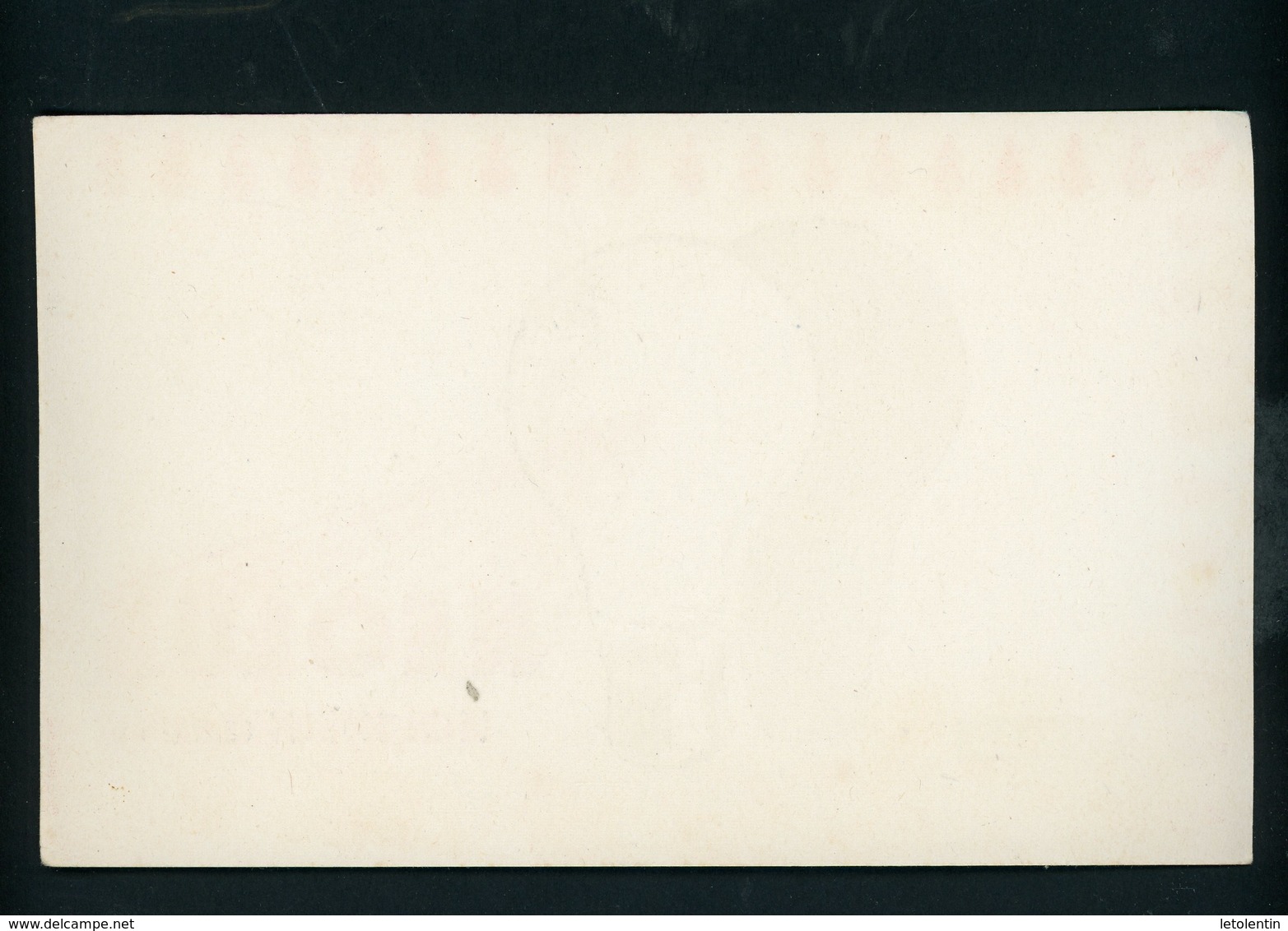 BUVARD:  NEOLUX - MOLSHEIM - FORMAT  Env. 20X12 Cm - N