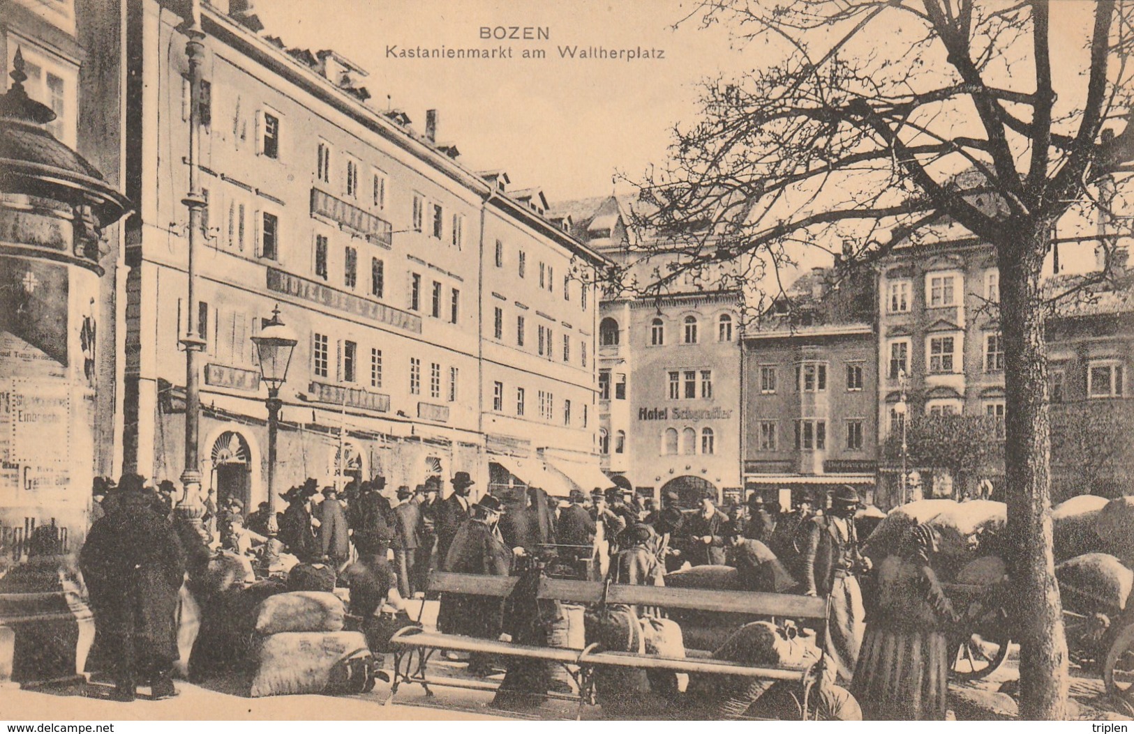 Bozen - Kastanienmarkt Am Waltherplatz - MERCATO DELLE CASTAGNE - Bolzano (Bozen)
