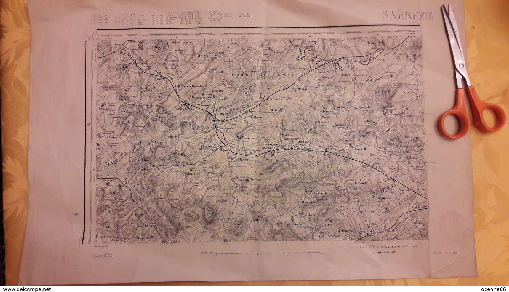 Carte Karte Service Géographique Des Armées Type 1889 Sarrebourg Edition Provisoire 34,5 Cm X 54 Cm - Cartes Topographiques