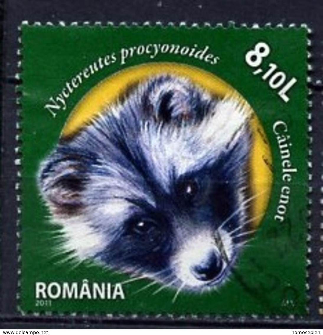 Roumanie - Rumänien - Romania 2011 Y&T N°5529 - Michel N°6545 (o) - 8,10l Chien Viverin - Oblitérés