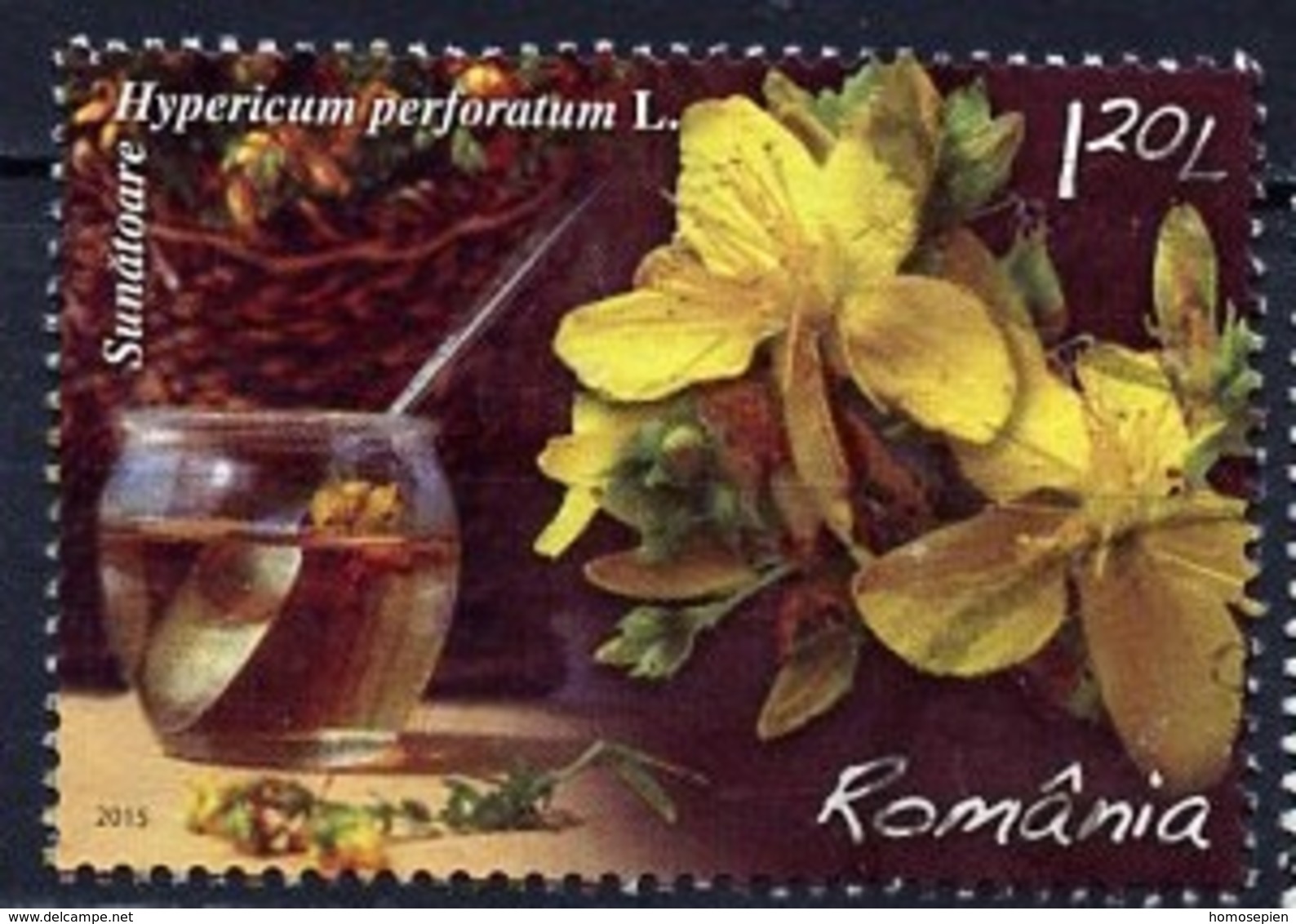 Roumanie - Rumänien - Romania 2015 Y&T N°5923 - Michel N°6973 (o) - 1,20l Millepertuis - Oblitérés
