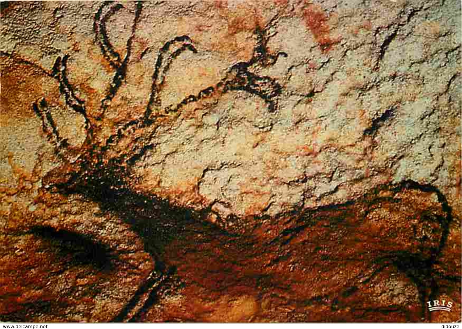 24 - Montignac Sur Vézère - Grotte De Lascaux - Grande Salle - Paroi Gauche - Cerf - Art Préhistorique - Voir Scans Rect - Autres & Non Classés