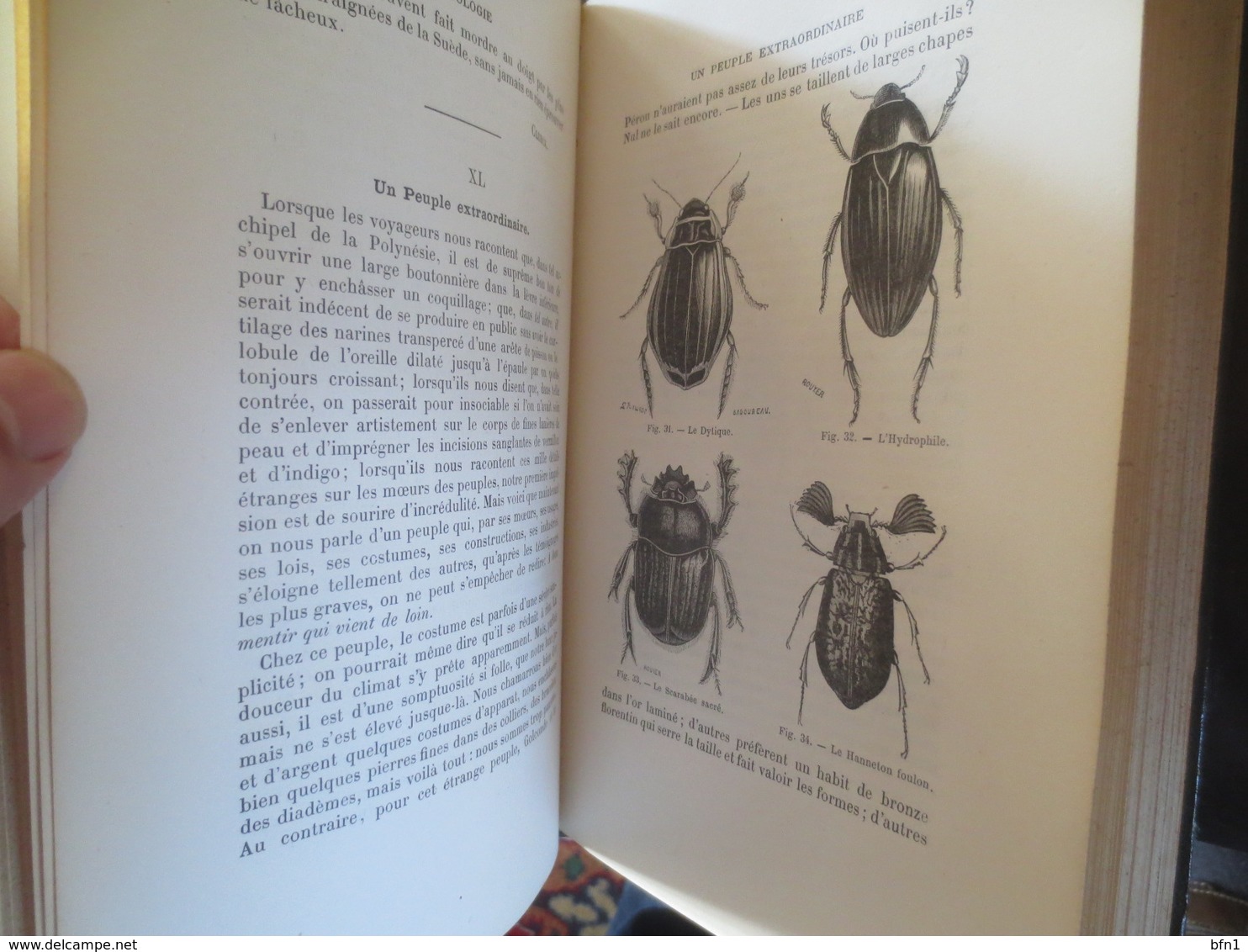 Jean-Henri FABRE  - Lectures Sur La Zoologie - 1882