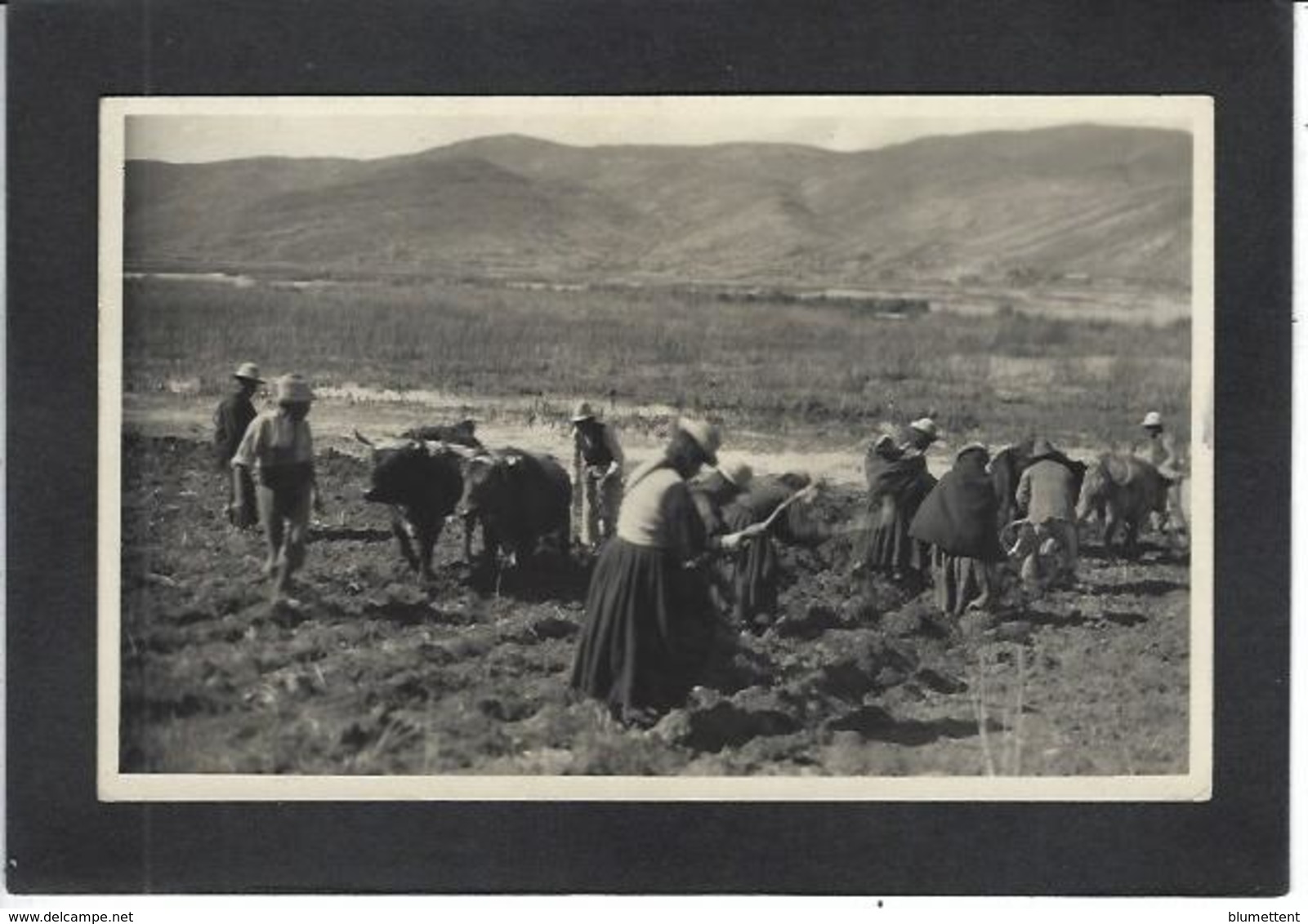 CPA Bolivie Bolivia  Non Circulé Carte Photo RPPC Métier - Bolivië