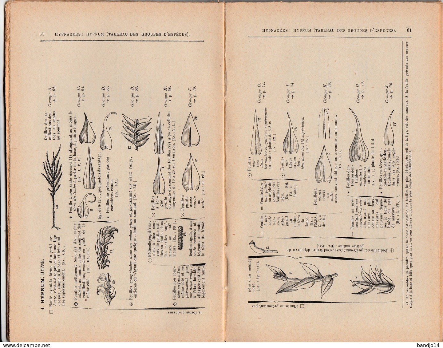 M DOUIN - Nouvelle Flore Des Mousses Et Des Hépatiques , Avec 1296 Figures Inédites (3/12//1930 Imp.Crété Corbeil ) - 1901-1940