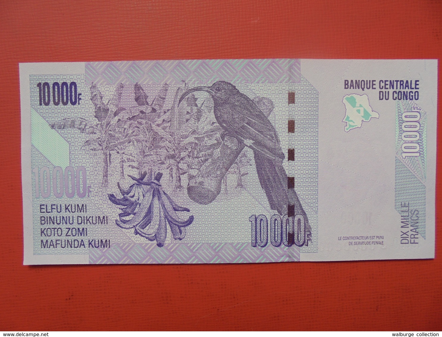 SPECIMEN ! CONGO 10.000 FRANCS 2006 UNC ! - République Démocratique Du Congo & Zaïre
