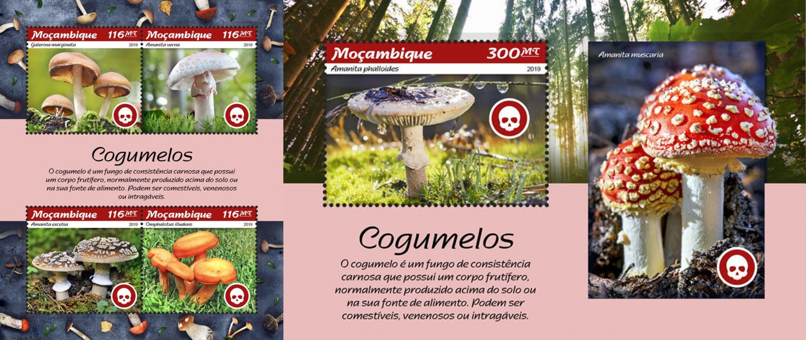 Z08 MOZ190102ab Mozambique 2019 Mushrooms Pilze MNH ** Postfrisch Set - Funghi