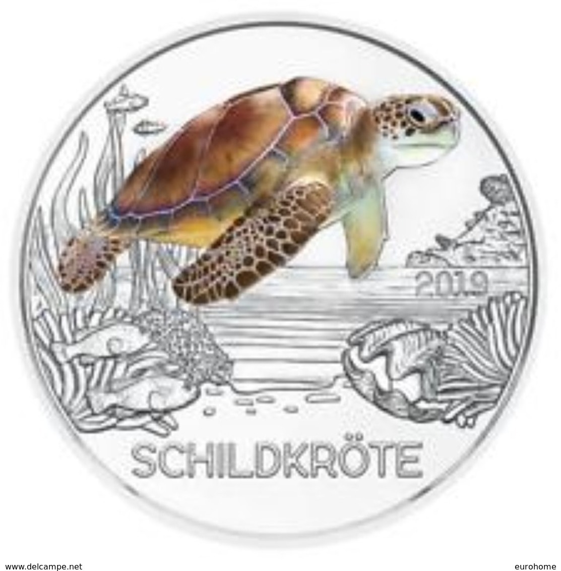 Oostenrijk 2019     3 Euro Zilver  Waterschildpad - Tortue  Gekleurd  Collorée  !! - Austria