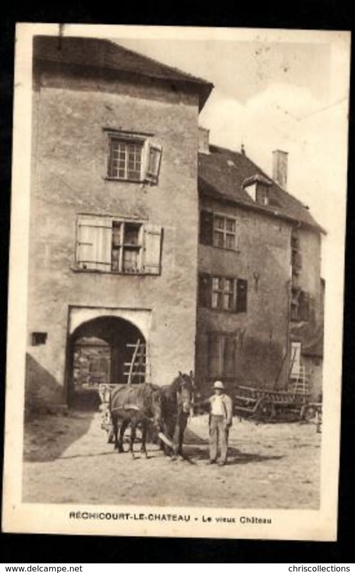 57 - RECHICOURT LE CHATEAU - Le Vieux Château - Rechicourt Le Chateau