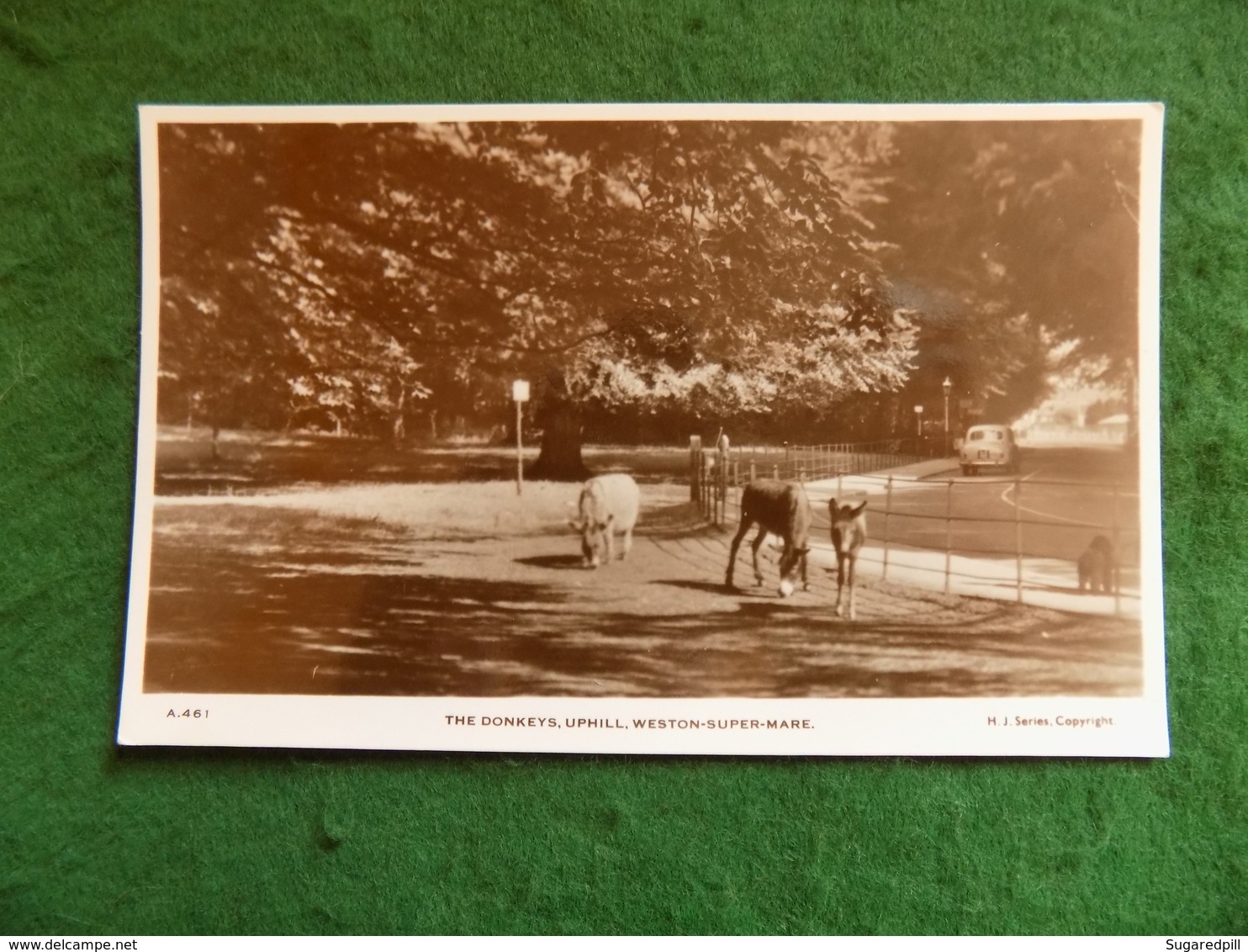 VINTAGE UK: WESTON SUPER MARE Uphill Donkeys Sepia HJ - Weston-Super-Mare