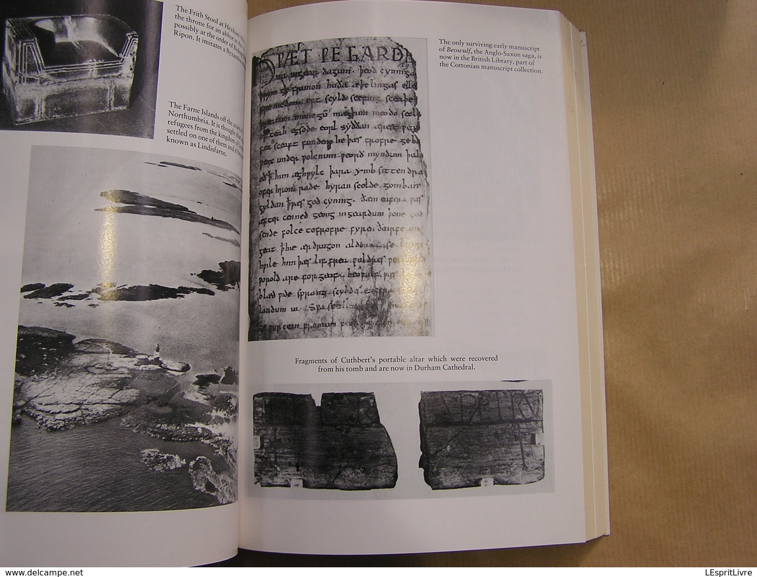 CELT AND SAXON The Struggle for Britain ad 410 937 England History Médiéval King Angleterre Moyen Age War Celtes kingdom