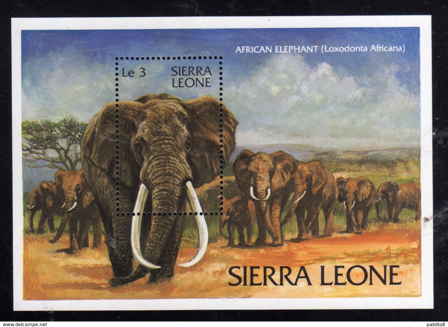 SIERRA LEONE 1983 WILD FAUNA AFRICAN ELEPHANT ELEFANTE AFRICANO BLOCK SHEET BLOCCO FOGLIETTO MNH - Sierra Leone (1961-...)