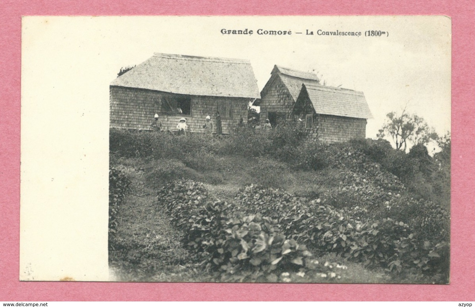 Grande COMORE - La Convalescence - 1800 M - Comores