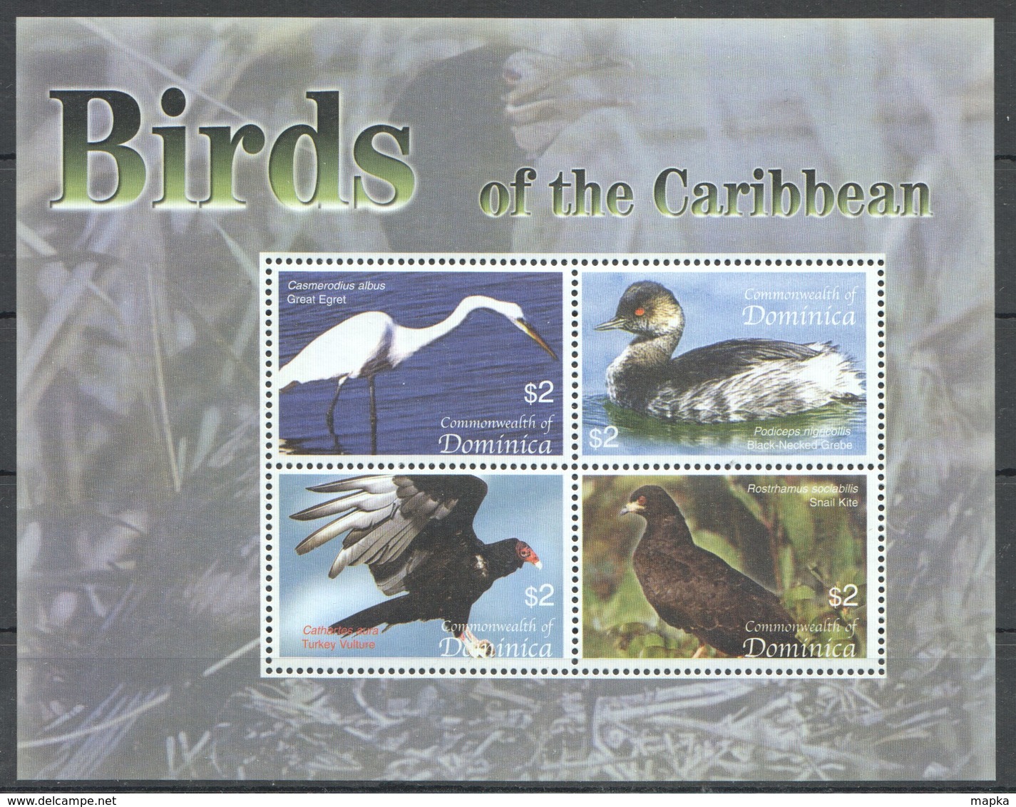 H1904 COMMONWEALTH OF DOMINICA FAUNA BIRDS OF THE CARIBBEAN 1KB MNH - Other & Unclassified