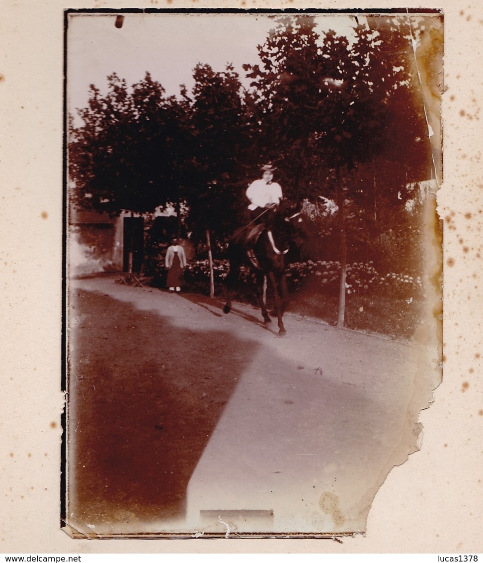 MAGNIFIQUE ALBUM PHOTO DE CHEVAUX  / HARAS DRESSAGE CHEVAUX D ARMEE / HISTORIQUE DES CHEVAUX / A VOIR / RARE ++