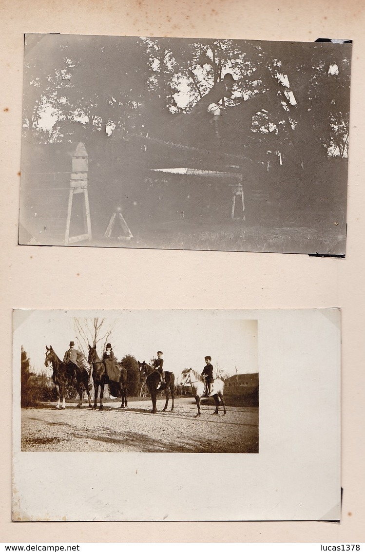 MAGNIFIQUE ALBUM PHOTO DE CHEVAUX  / HARAS DRESSAGE CHEVAUX D ARMEE / HISTORIQUE DES CHEVAUX / A VOIR / RARE ++