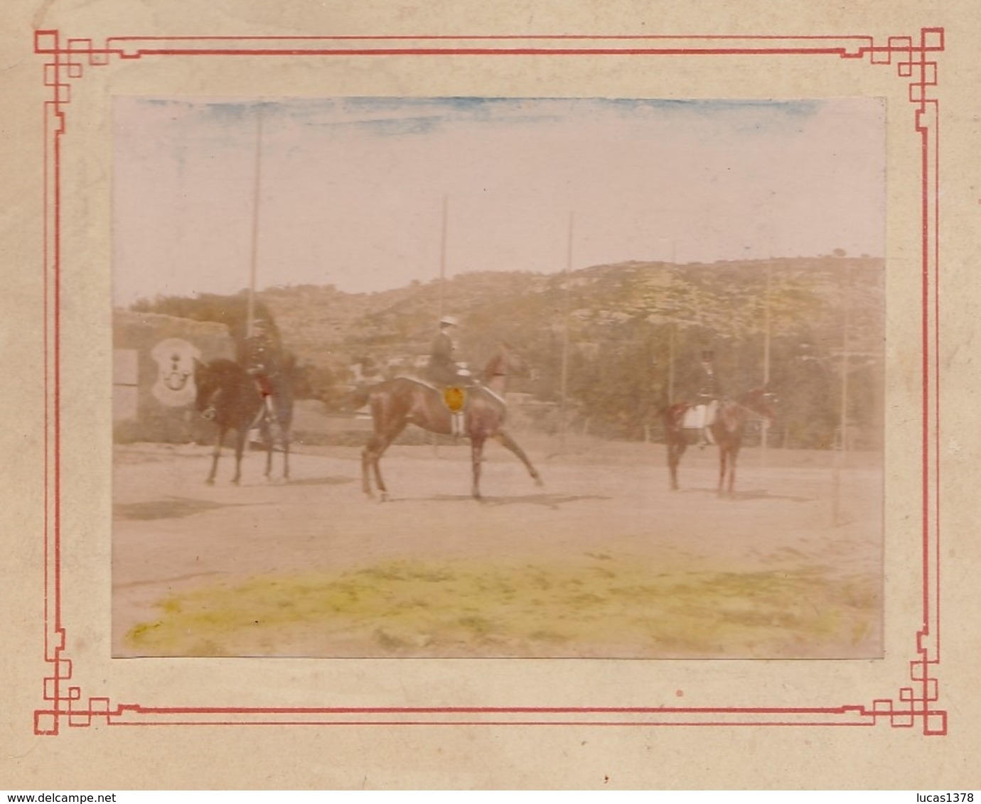 MAGNIFIQUE ALBUM PHOTO DE CHEVAUX  / HARAS DRESSAGE CHEVAUX D ARMEE / HISTORIQUE DES CHEVAUX / A VOIR / RARE ++