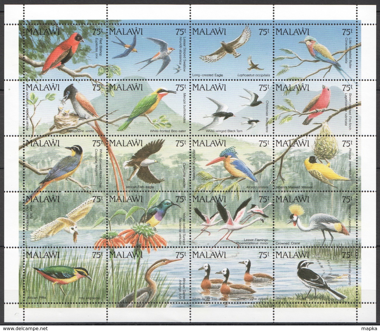 H1937 MALAWI FAUNA BIRDS !!! MICHEL 50 EURO 1 BIG SH MNH - Other & Unclassified