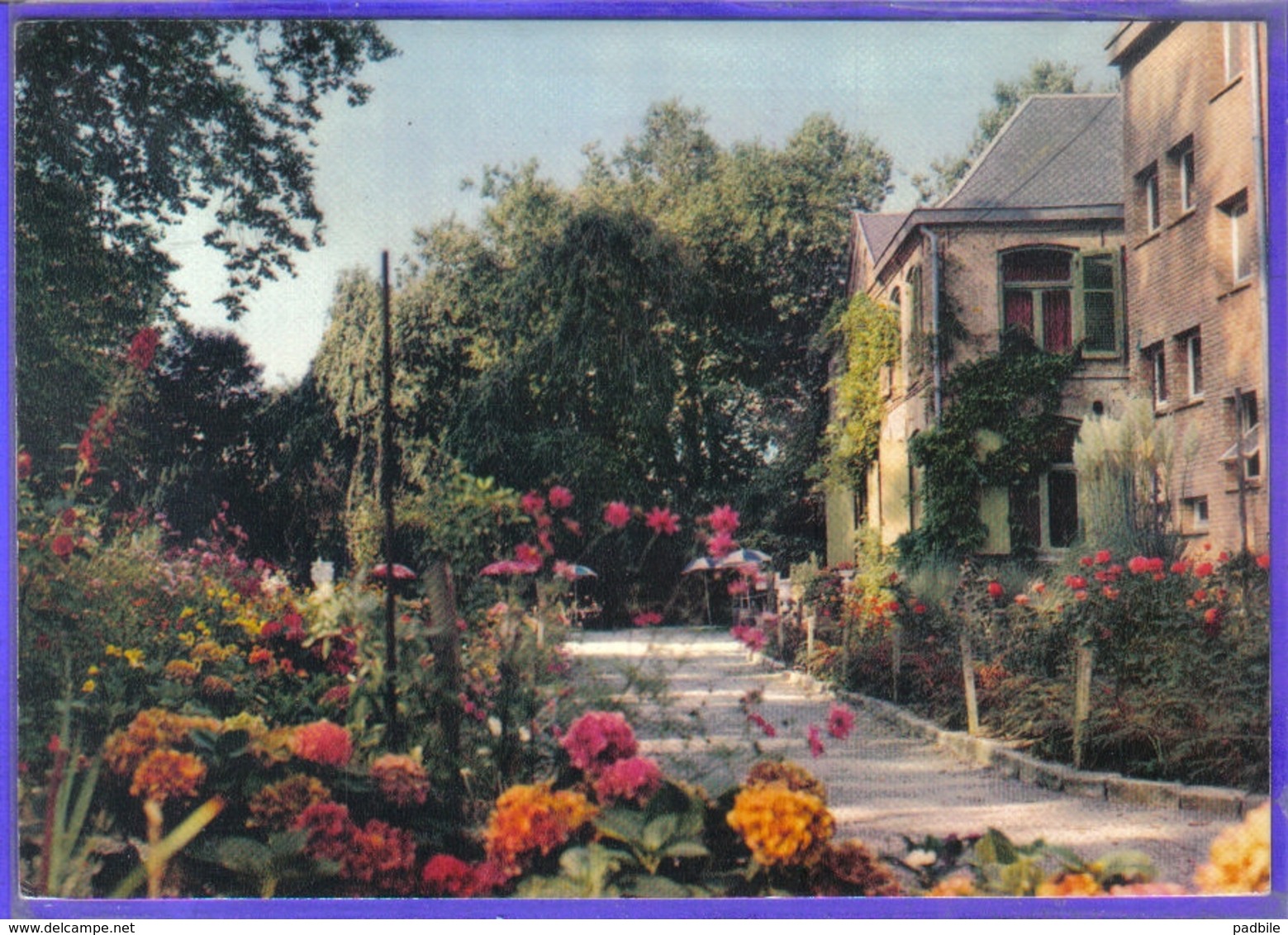 Carte Postale 59. Rexpoëde  Hondschoote  Le Foyer Du Groenhof  Très Beau Plan - Autres & Non Classés