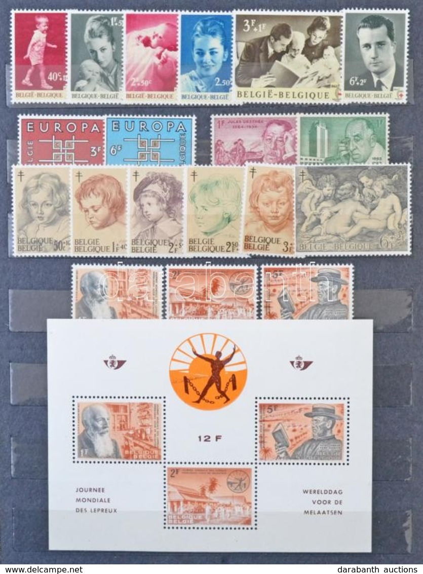 ** Belgium Szépen Rendezett Gyűjtemény 1960-1981 Postatiszta Bélyegek és Blokkok 12 Lapos Philux Berakóban - Other & Unclassified