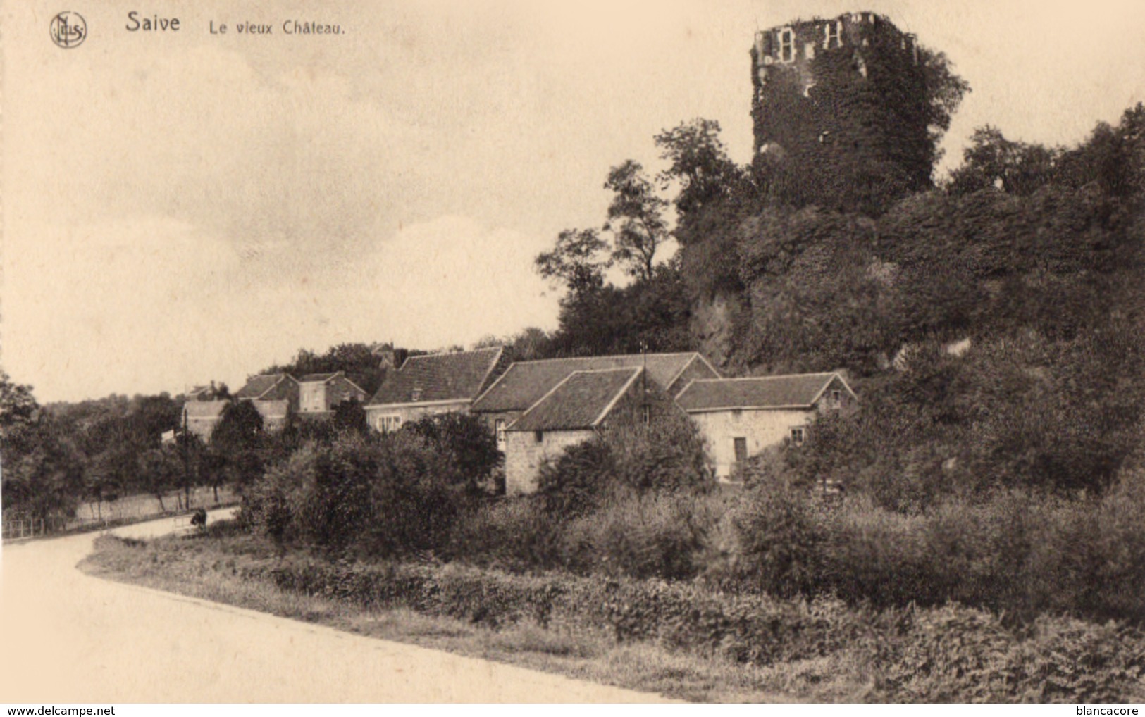 SAIVE Vieux Château - Blegny