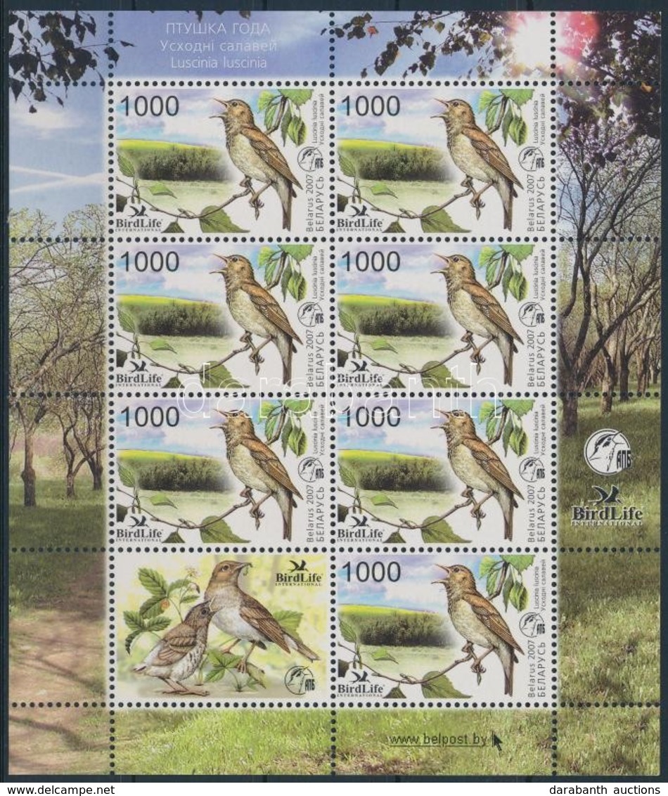 ** 2007 Madár Kisív,
Bird Minisheet
Mi 662 - Sonstige & Ohne Zuordnung