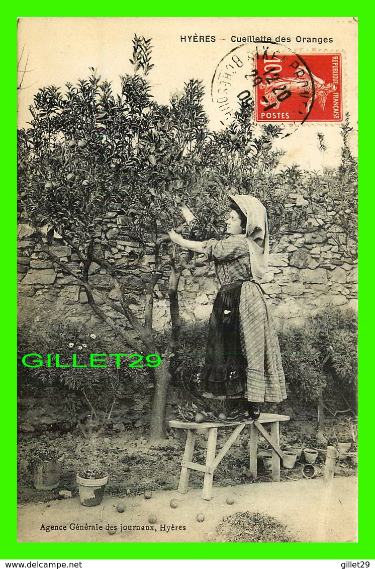 HYÈRES (83) - CUEILLETTE DES ORANGES - AGENCE GÉNÉRALE DES JOURNAUX - CIRCULÉE EN 1909 - - Hyeres