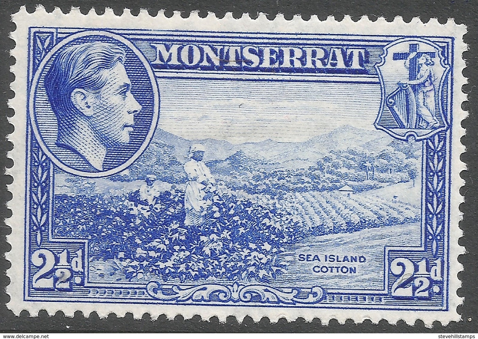 Montserrat. 1938-48 KGVI. 2½d MH. P14 SG 105a - Montserrat