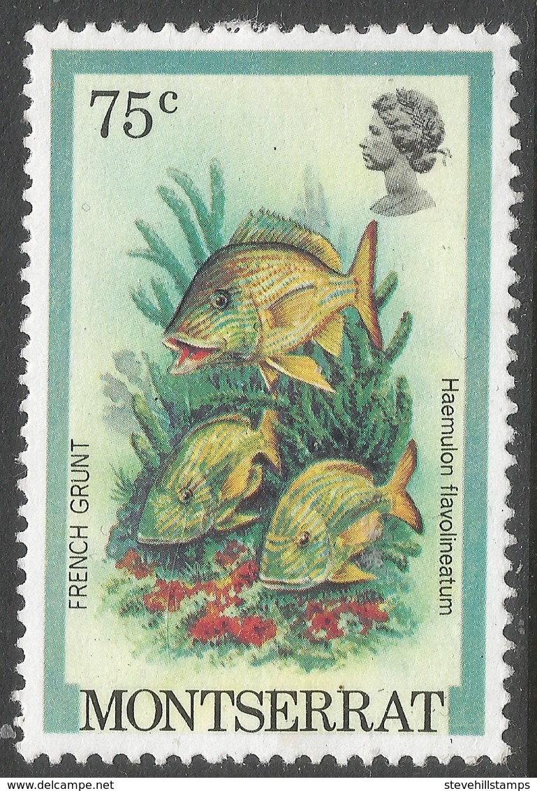 Montserrat. 1981 Fish. 75c MH. SG 564 - Montserrat